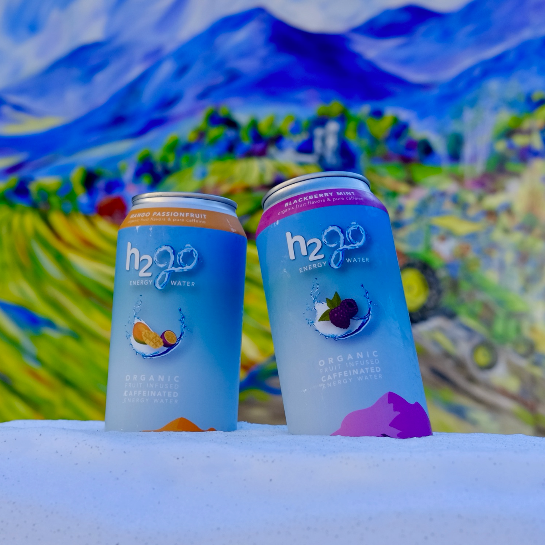 Buy h2go energy water