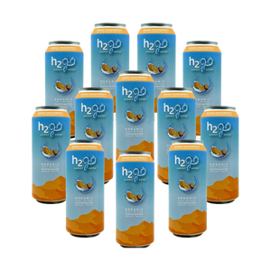 Mango Passionfruit 12 Pack