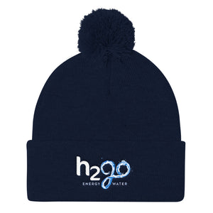 Pom Pom Knit Cap